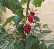 IMG_20210930_102020.webp