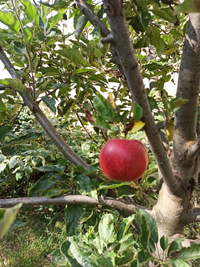 IMG_20210930_102159.webp