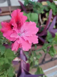 20210929_180030.webp