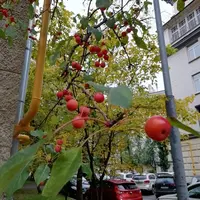 IMG_20210930_131453.webp
