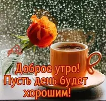 IMG-20211001-WA0003.webp