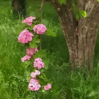 wcCkMfPvN0c.webp