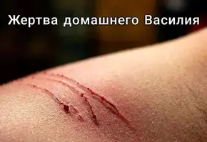 1632392310177359262.webp