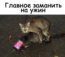 425C2EB1-CE08-4D32-95DD-52B4AE047B1E.webp