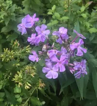 75AB69AE-84AB-4526-984A-49D05FFF1F12.webp