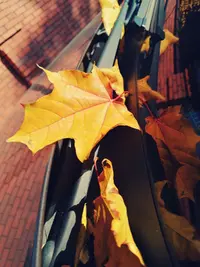 IMG_20211003_144220.webp
