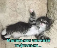 Screenshot_20211003_172951.webp