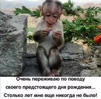 Screenshot_20211003_173008.webp