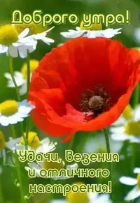 IMG-20211005-WA0000.webp