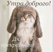 5bd972c59de100747163cd192fb7286d.webp
