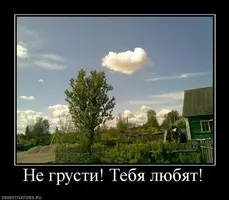 2473172305.webp