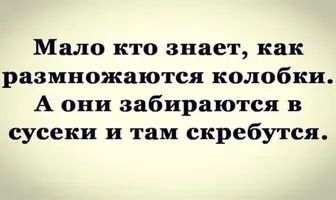 51bc43c00c9258be6c3bc7dbc1150832.webp