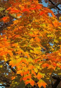 106694E0-790C-4999-BF8D-85F15096630C.webp