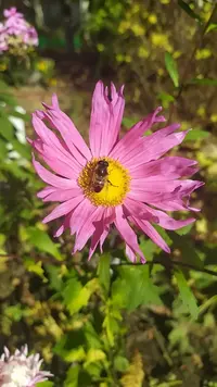 IMG_20211006_125038.webp