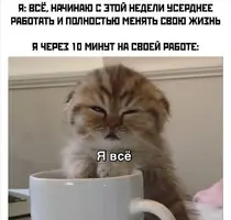 Screenshot_20211004_140659.webp