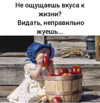 c689b109c7b205d8a9372eb5df516ca9.webp