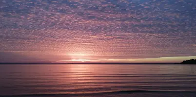 IMG_20211006_211907.webp