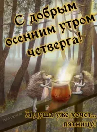 IMG-20211007-WA0001.webp