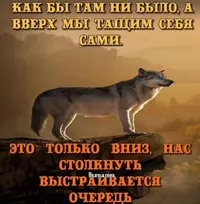 Screenshot_20211005_232428.webp