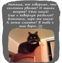 Screenshot_20211007_080846.webp