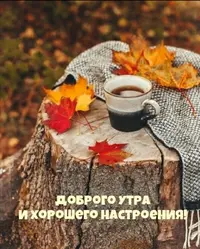Screenshot_20211004_201151.webp