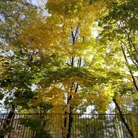 IMG_20211007_115810.webp