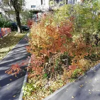 IMG_20211007_115710.webp