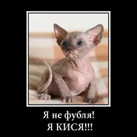 55195_600.webp