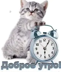 IMG-20211008-WA0000.webp