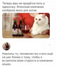 Screenshot_20211008_104727.webp