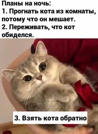 f71f0ec945f673c2e0b618d11206ea19.webp