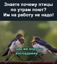 onoff69_20211009_14.webp