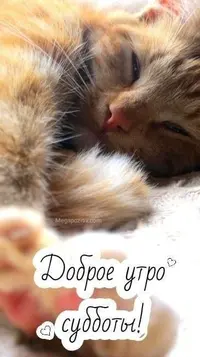 9f1b7aedbef8f434d31c6093d262a89f.webp
