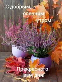 Screenshot_20211008_232334.webp