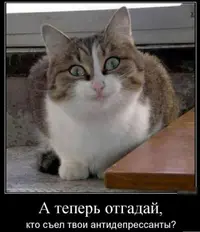 1633444431143816244.webp