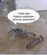163312289015906244.webp