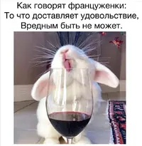 Screenshot_20211009_231130.webp