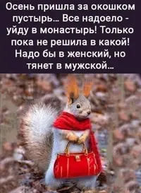Screenshot_20211005_105947.webp