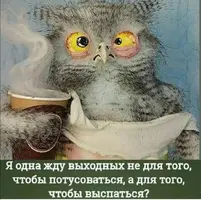 Screenshot_20211007_080904.webp