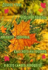 IMG-20211011-WA0002.webp