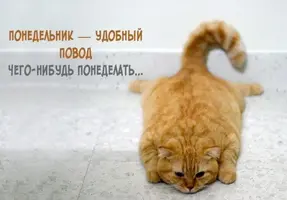 IMG_20211011_110145_692.webp