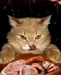27579A33-11EC-4005-96E5-B822B54DFE1F.webp