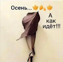 Screenshot_20211012_094654.webp