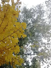16340395810611308953637.webp
