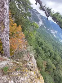 20210928_111509.webp