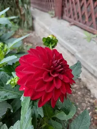 20210921_133547.webp