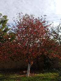 IMG_20211012_190111.webp