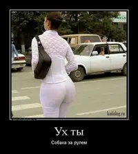 d00404b3bd3a9319e633c8000dd45de9.webp