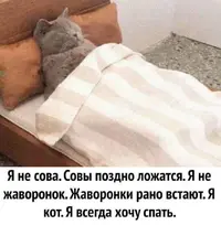 Screenshot_20211012_105841.webp