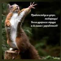 Screenshot_20211012_105648.webp